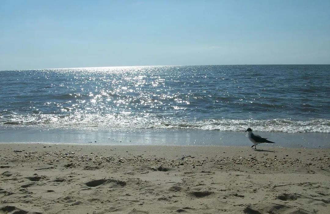 Boardwalk Beach Inn-1