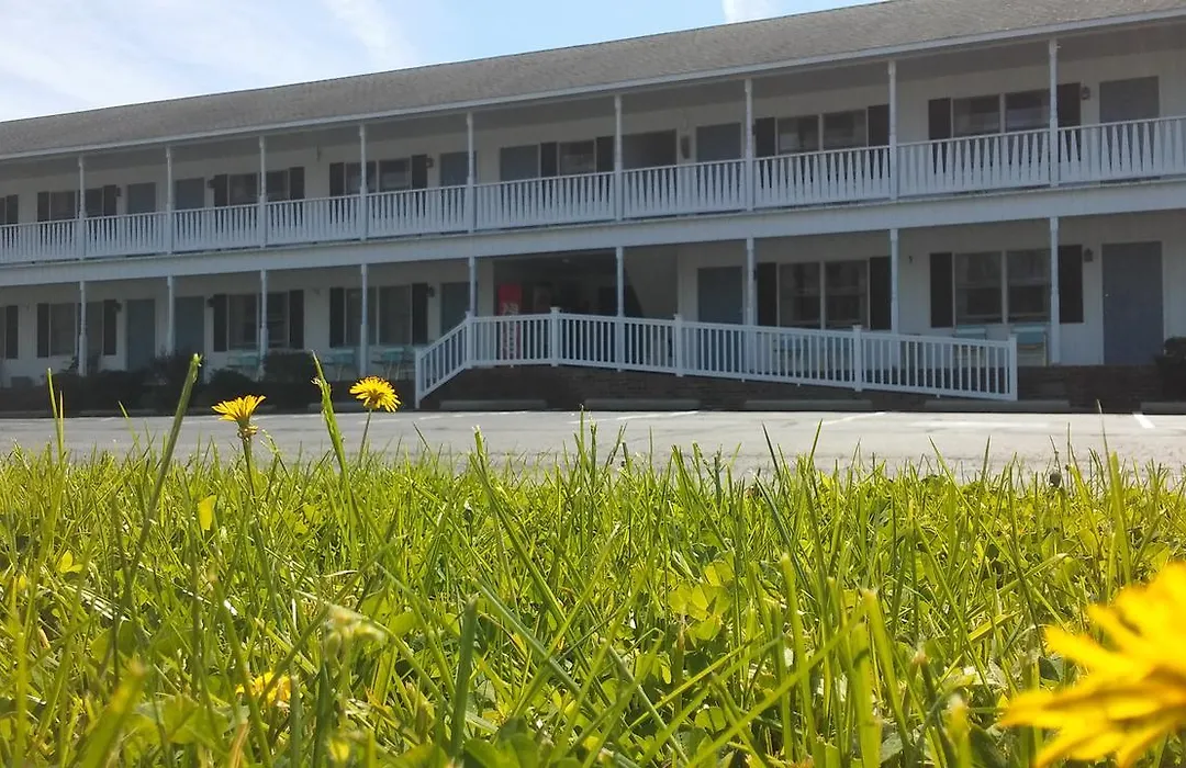 Sea Shell Motel-1