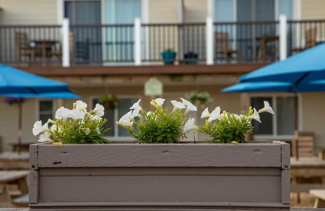 Aqualina Inn Montauk (Adults Only)-1