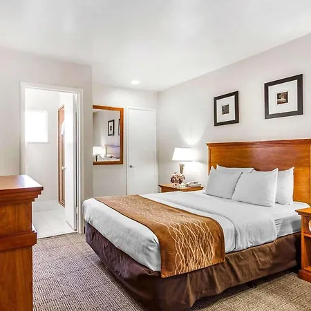 The Inn At 1252 Monterey-2