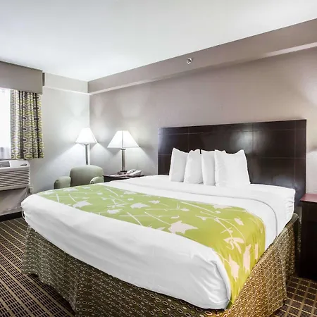 Econo Lodge Birmingham - Hoover-2