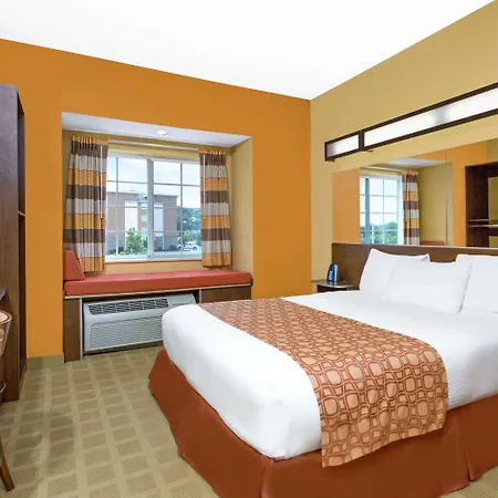 Microtel Inn & Suites By Wyndham University Medical Park-3