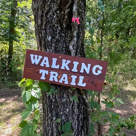 The Woods Lodging-3