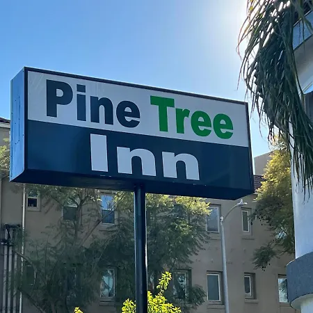 Pine Tree Inn-2