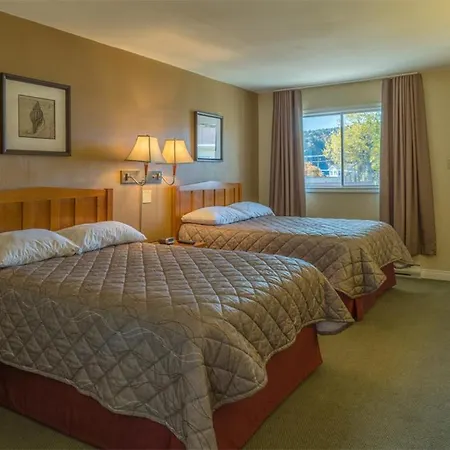 Alpine Motor Inn-3