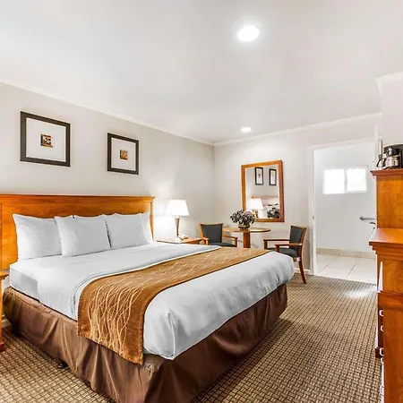The Inn At 1252 Monterey-3