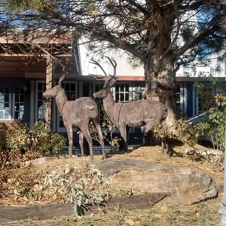 The Charin Inn-2