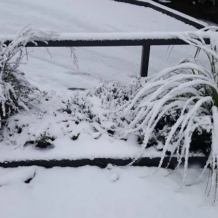 Ruapehu Mountain Motel & Lodge-3