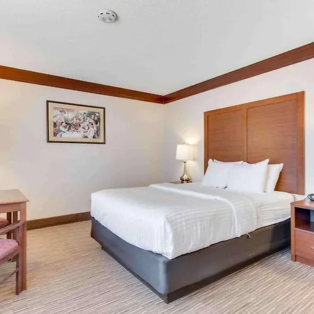 Best Western Movie Manor-3
