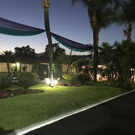 Palm Tropics Motel-3