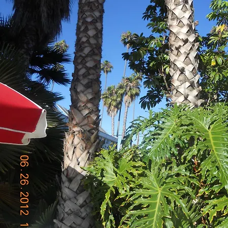 Tradewinds Airport Hotel-3