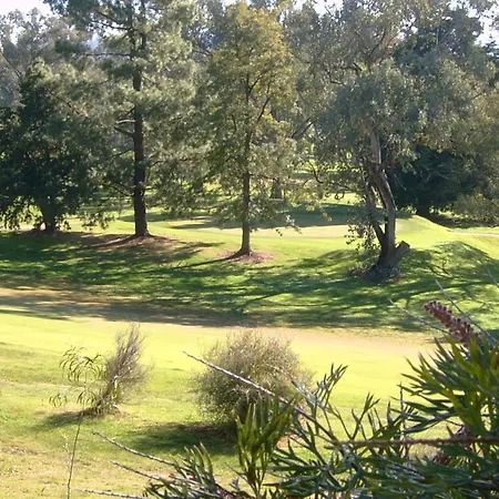 Commercial Golf Resort-2
