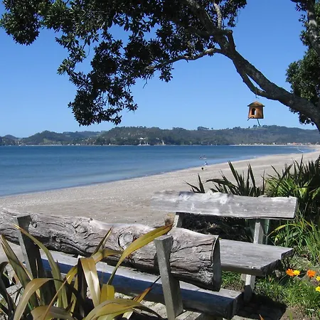 Beachfront Resort-3