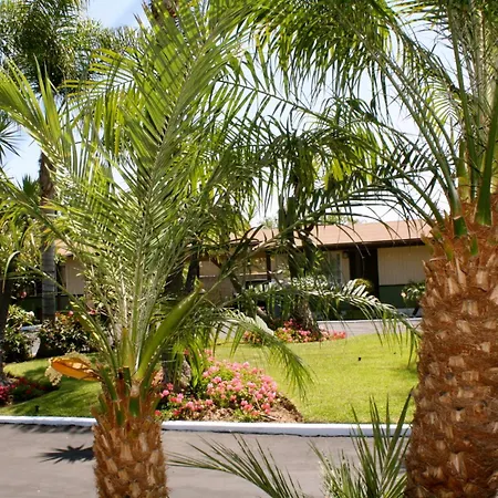 Palm Tropics Motel-2