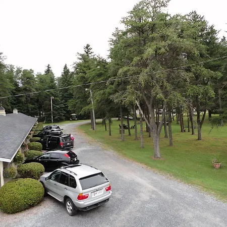 Pinecone Motel-3
