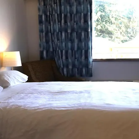 Skylite Motel-2