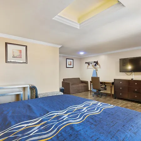 Sky Palm Motel - Orange-2