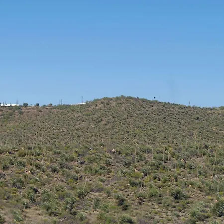 Travelodge By Wyndham Globe Az-3