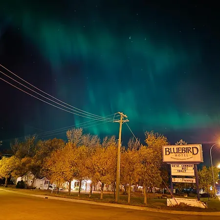 Bluebird Motel-3