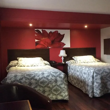 Miami Motel-2