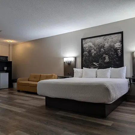Super 8 By Wyndham Thunder Bay-3