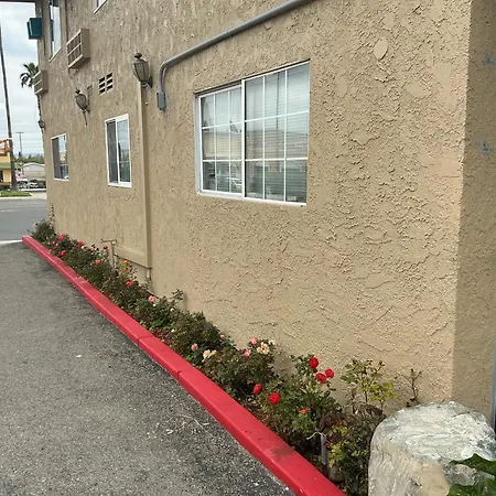 Crzy 8 Motel-2