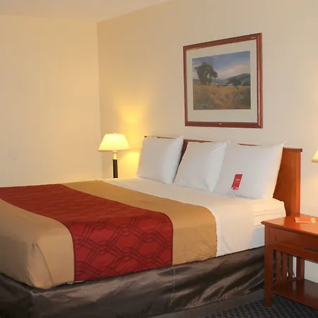 Knights Inn College Station-3