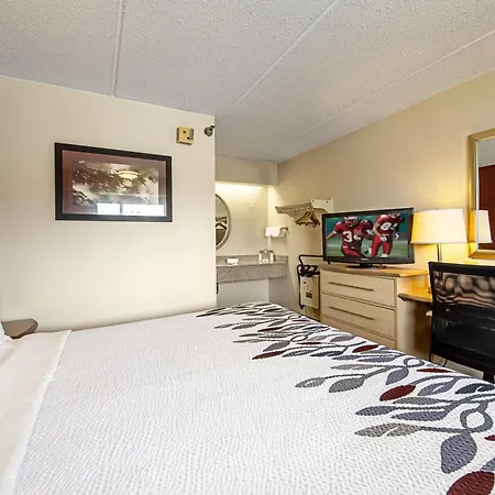 Red Roof Inn Florence - Civic Center-2
