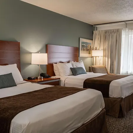 Best Western Buffalo Ridge Inn Near Mt Rushmore-3
