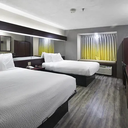 Microtel Inn & Suites - Meridian-2