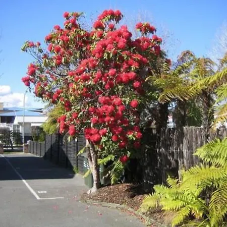 Victoria Lodge-2