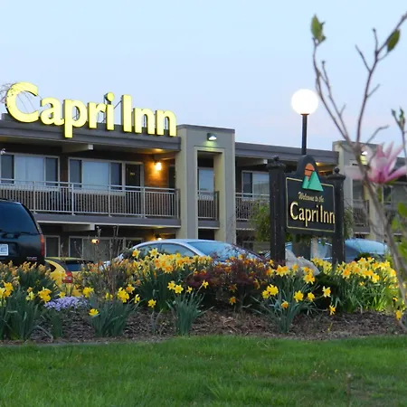 Capri Inn-3