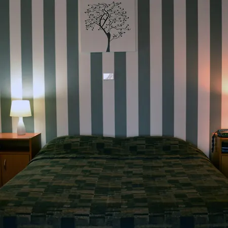 Kiwi Studios Motel-3