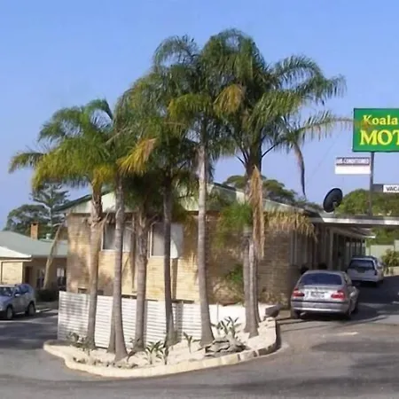 Koala Tree Motel-2