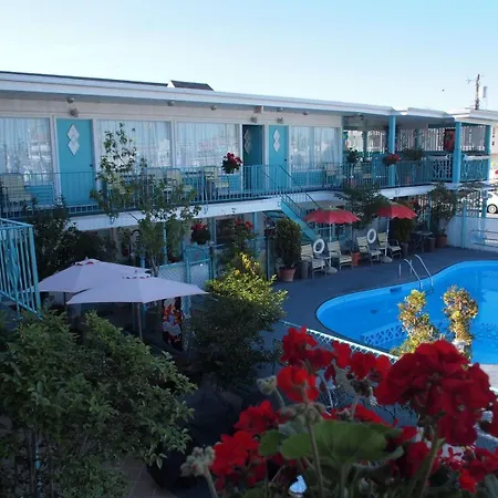 Suitcase Motel & Travel-2