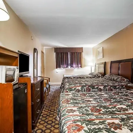 Flamingo Inn-3