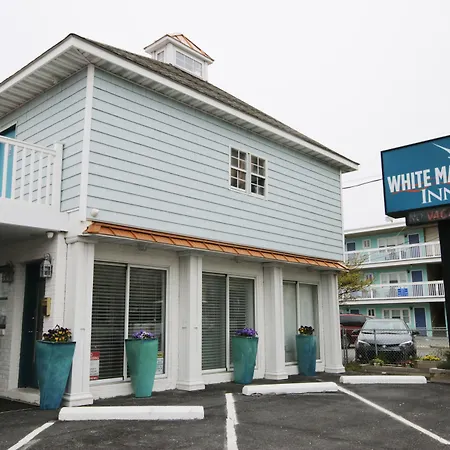 White Marlin Inn-3