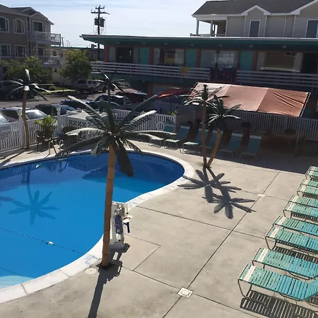 Dolphin Inn-2