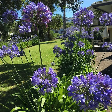 Half Moon Bay Motel-2