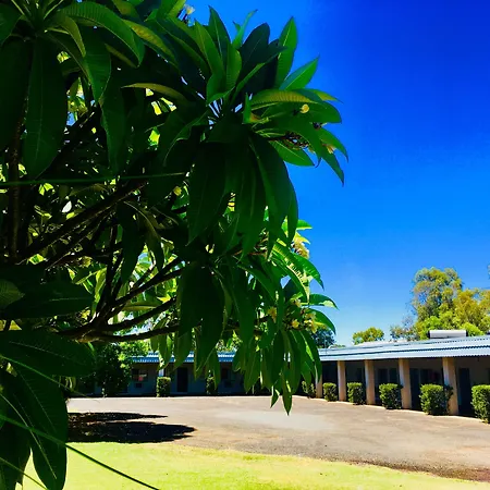 Balonne River Motor Inn-2