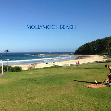 Beach House Mollymook-2