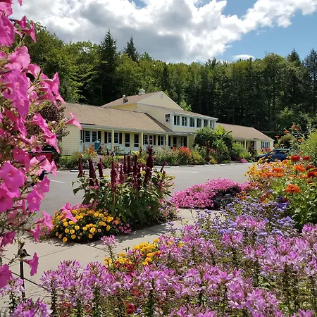Bay Top Motel-2