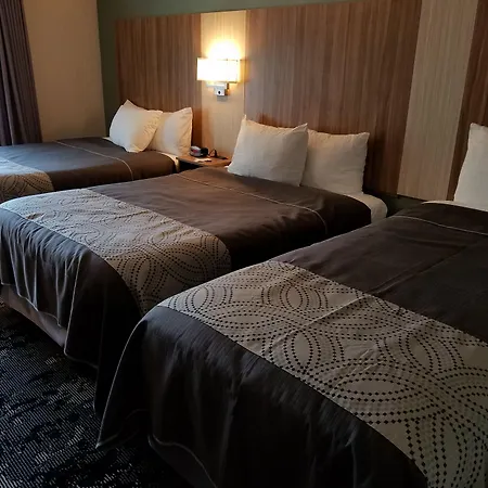 Aartpark Hotel Inn At Lewsiton-3