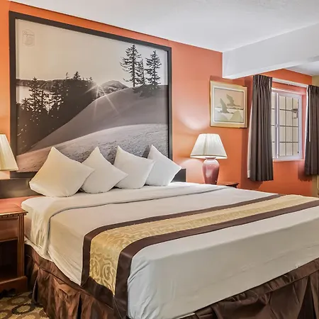 Super 8 By Wyndham Ontario-3