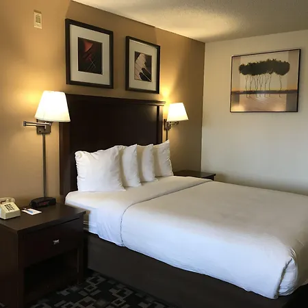 Morningglory Inn & Suites-2