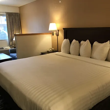 Morningglory Inn & Suites-3