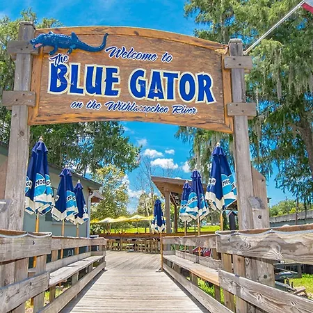 The Gator Den-2