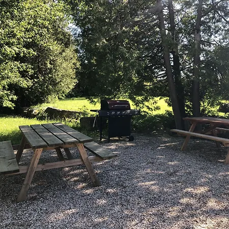 Adventure The Bruce Inn - Recently Renovated With Outdoor Hot Tub-3