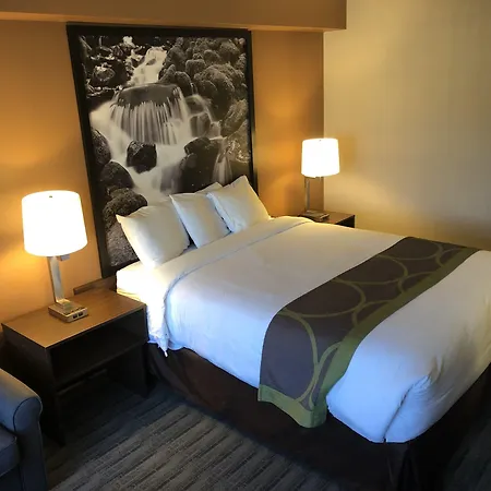 Super 8 By Wyndham Lynnwood-2