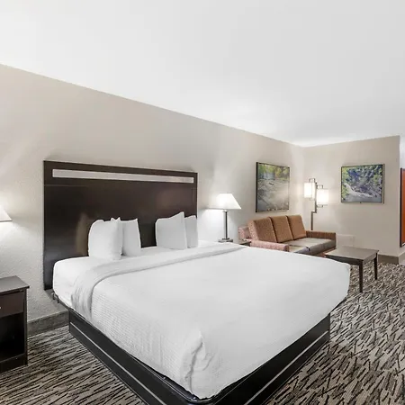 Best Western Plus Mcdonough Inn & Suites-3